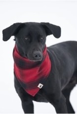 STORMY KROMER PET BANDANA