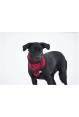 STORMY KROMER PET BANDANA