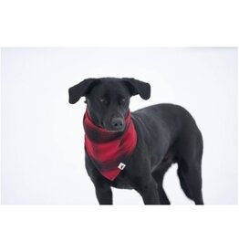 STORMY KROMER PET BANDANA
