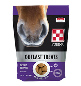 PURINA OUTLAST HORSE TREAT