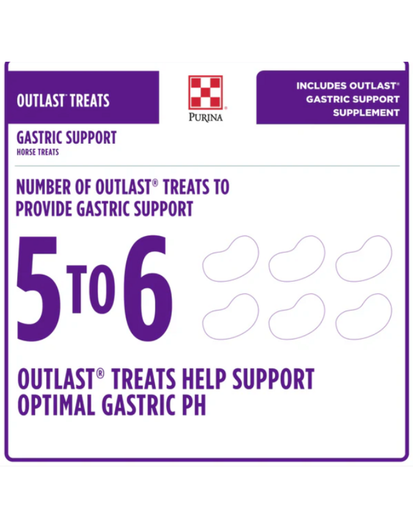 PURINA OUTLAST HORSE TREAT
