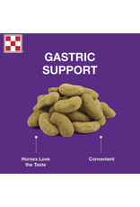 PURINA OUTLAST HORSE TREAT
