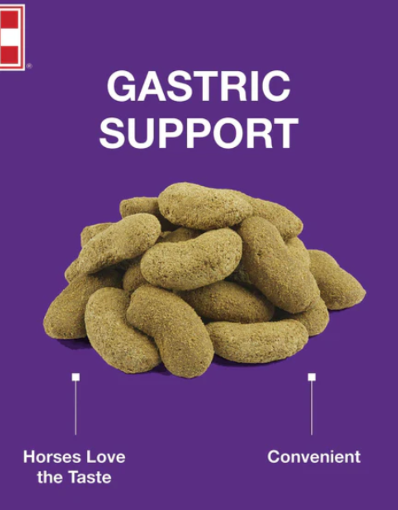 PURINA OUTLAST HORSE TREAT