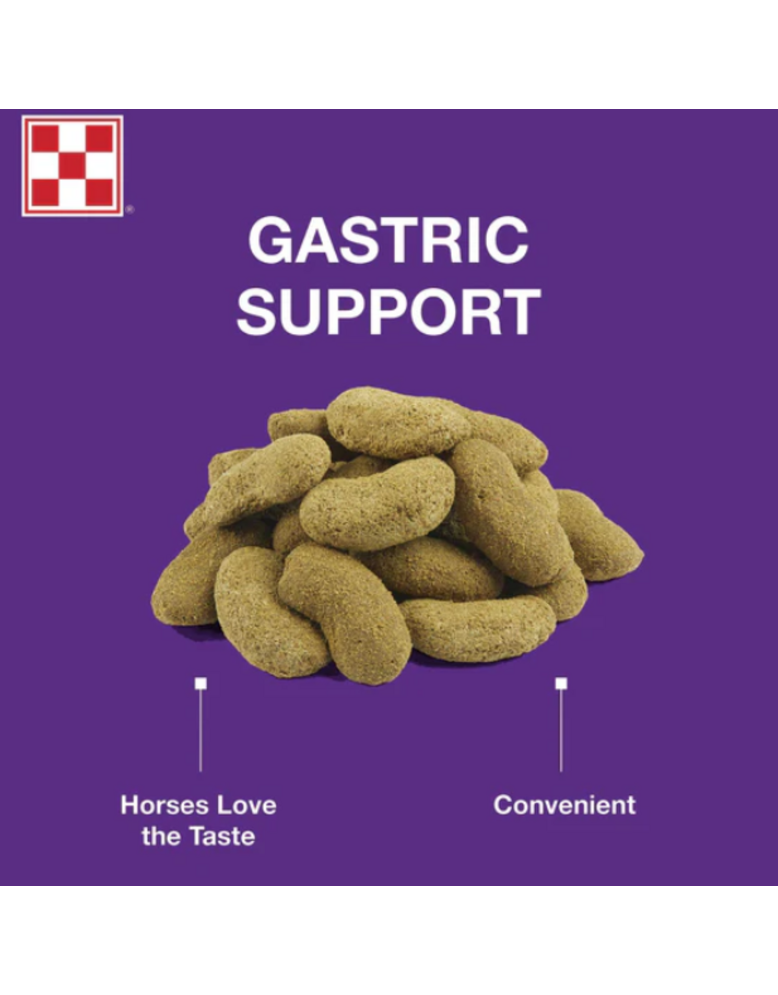 PURINA OUTLAST HORSE TREAT