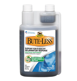 BUTE-LESS LIQUID 32 FL OZ