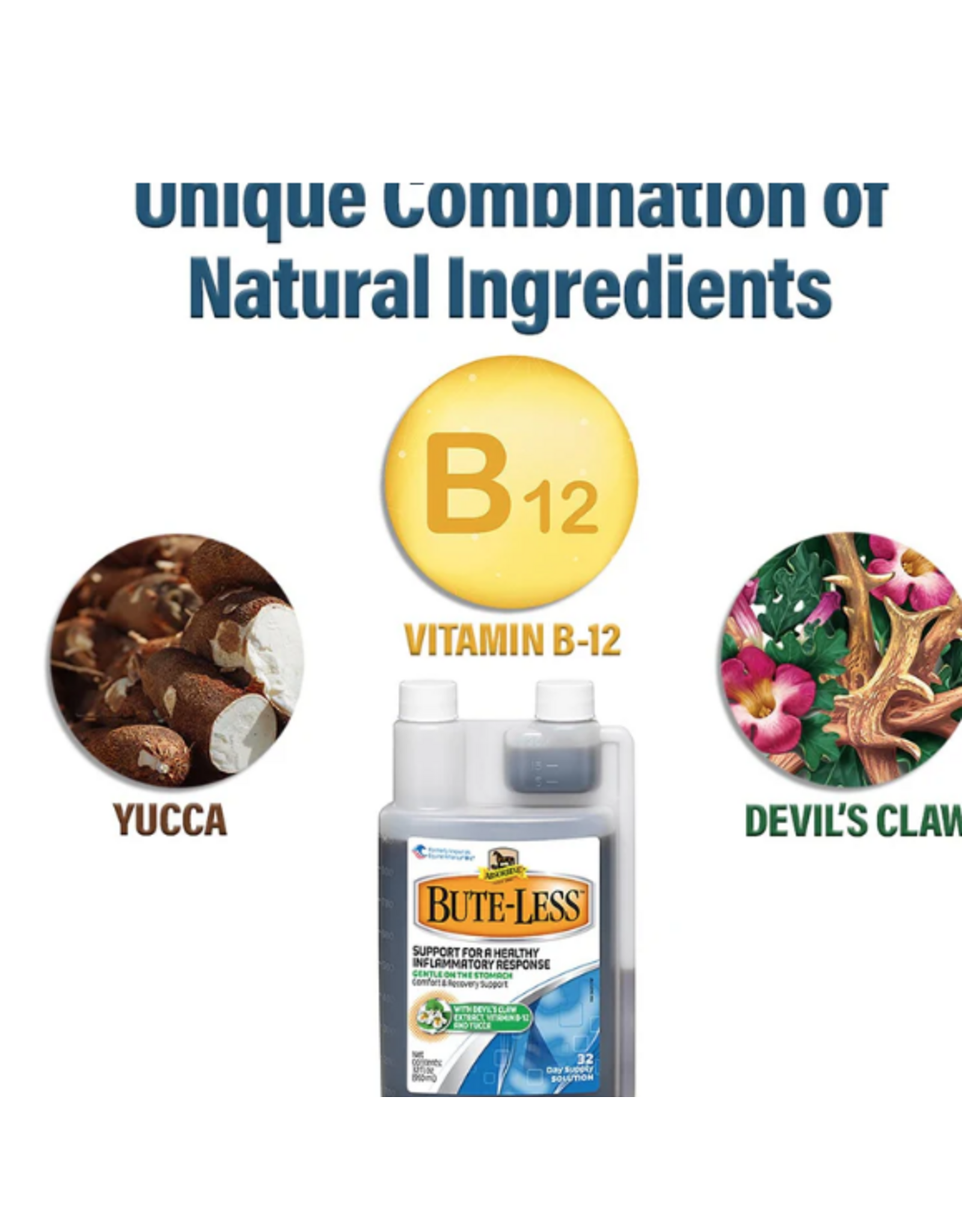 BUTE-LESS LIQUID 32 FL OZ