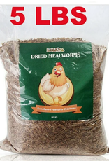 MEALWORMS 5# LUCKYQ TREATS