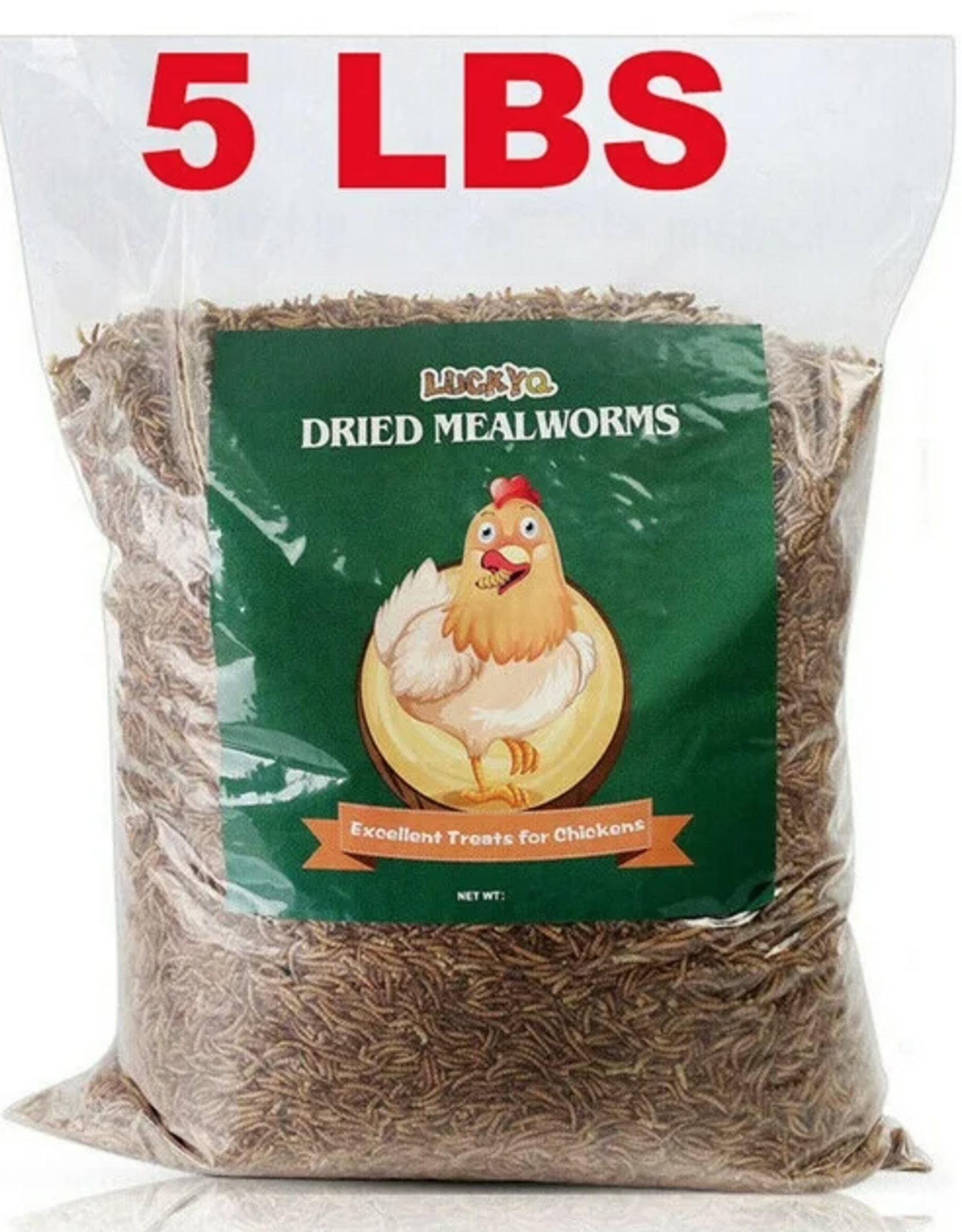 MEALWORMS 5# LUCKYQ TREATS