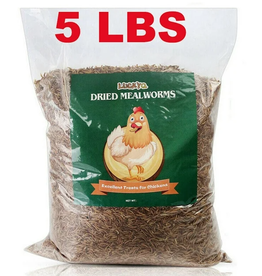 MEALWORMS 5# LUCKYQ TREATS