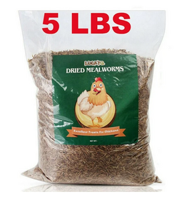 MEALWORMS 5# LUCKYQ TREATS