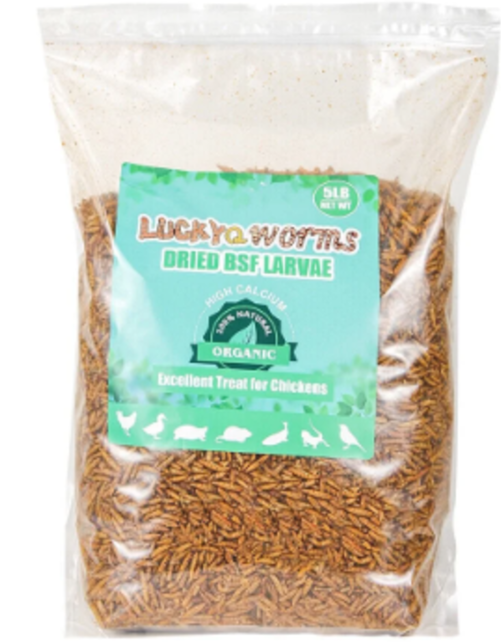 BLACK SOLIDER FLY LARVAE  5# LUCKYQ TREATS