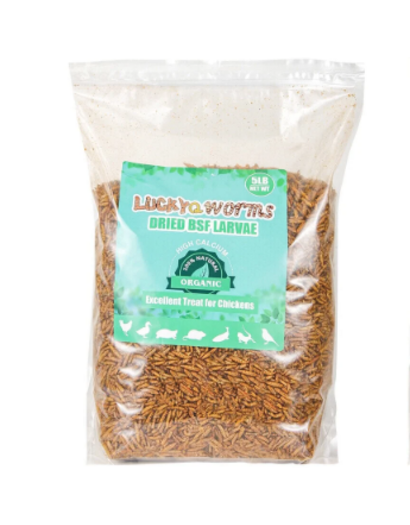 BLACK SOLIDER FLY LARVAE  5# LUCKYQ TREATS