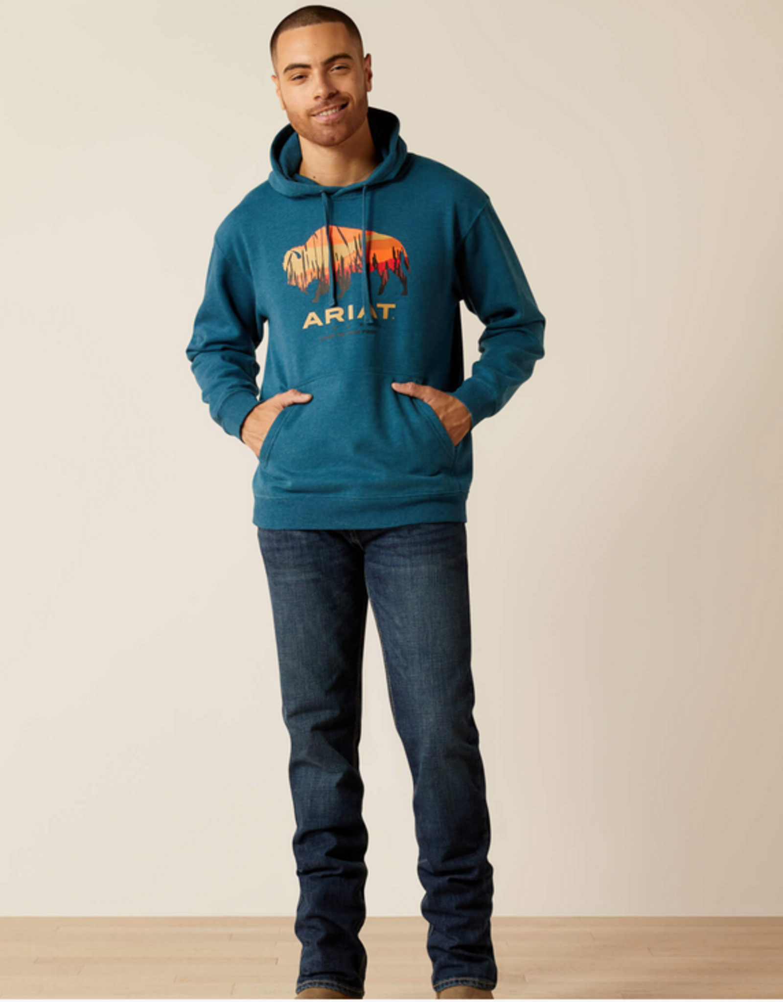 ARIAT HOODIE MNS ARIAT BISON PLAINS BLUE HEATHER