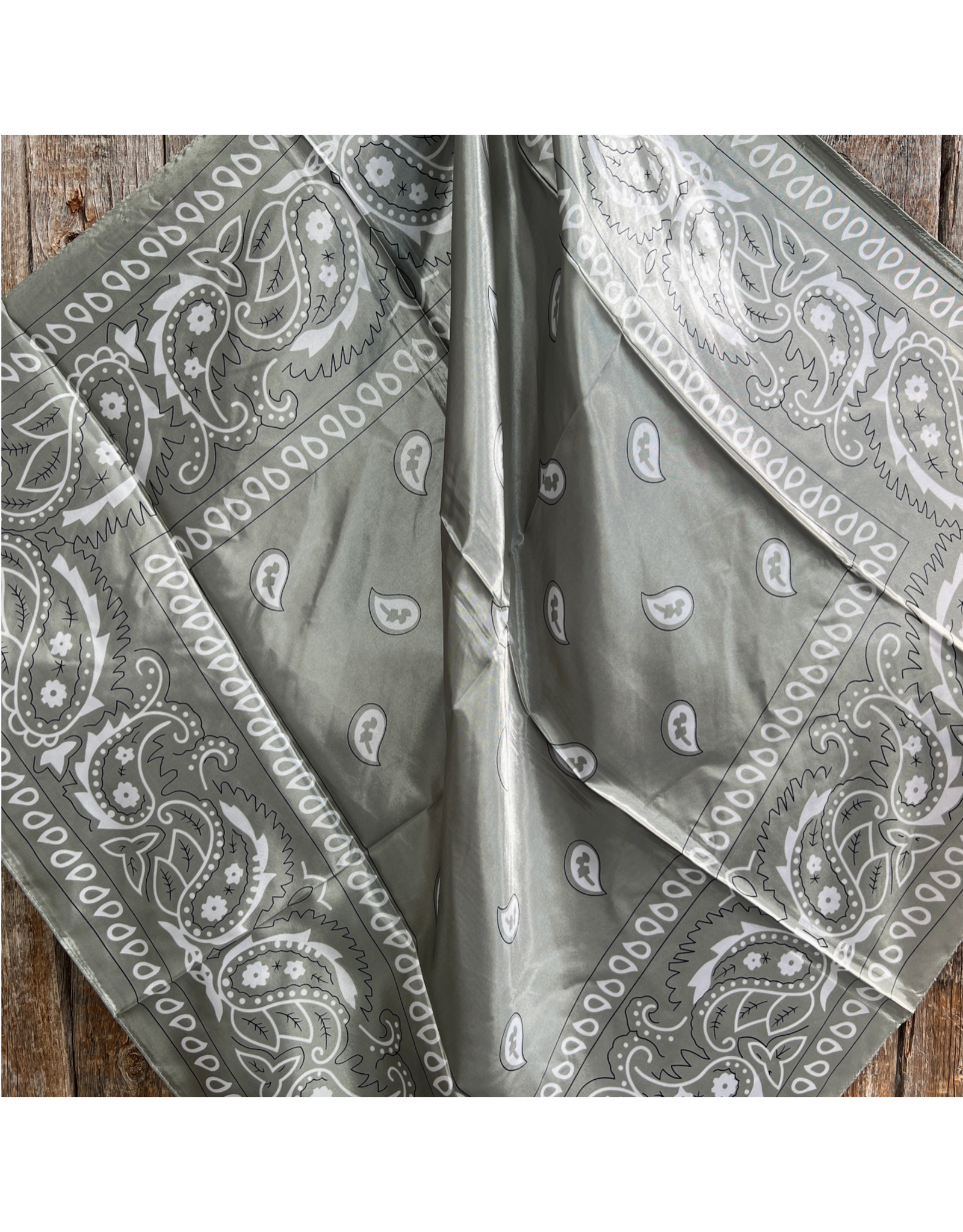 RODEO DRIVE WILD RAG SILK BANDANNA PRINT