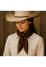 RODEO DRIVE WILD RAG SILK SOLID COLORS