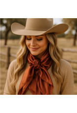 RODEO DRIVE WILD RAG SILK SOLID COLORS