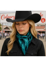 RODEO DRIVE WILD RAG SILK SOLID COLORS