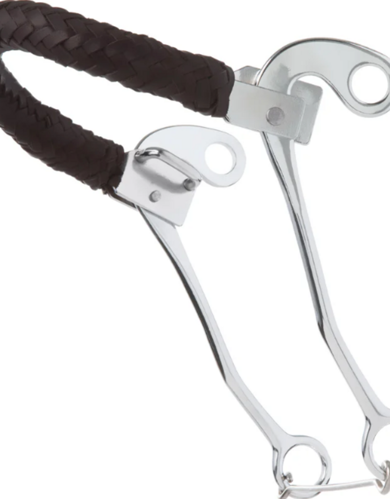 HACKAMORE BIT WITH BRAIDED LEATHER NOSEBAND