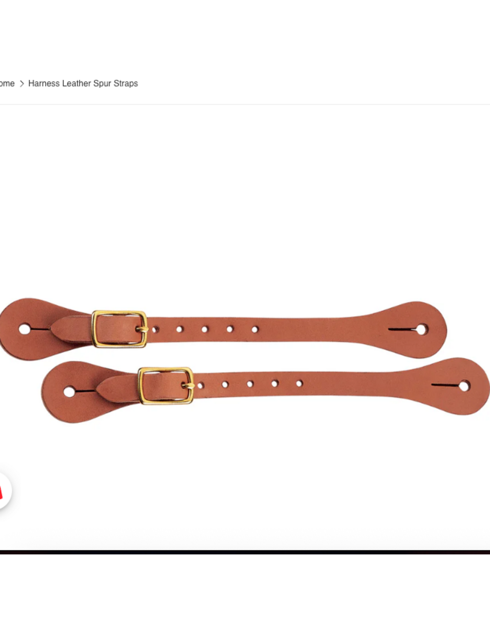 HARNESS LEATHER SPUR STRAPS