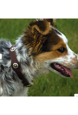 DOG COLLAR LONESTAR LEATHER RICH BROWN