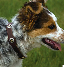 DOG COLLAR LONESTAR LEATHER RICH BROWN