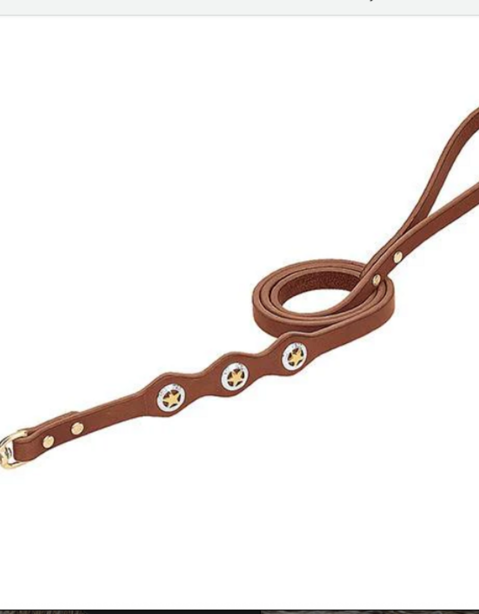DOG LEASH LEATHER LONSTAR CONCHO
