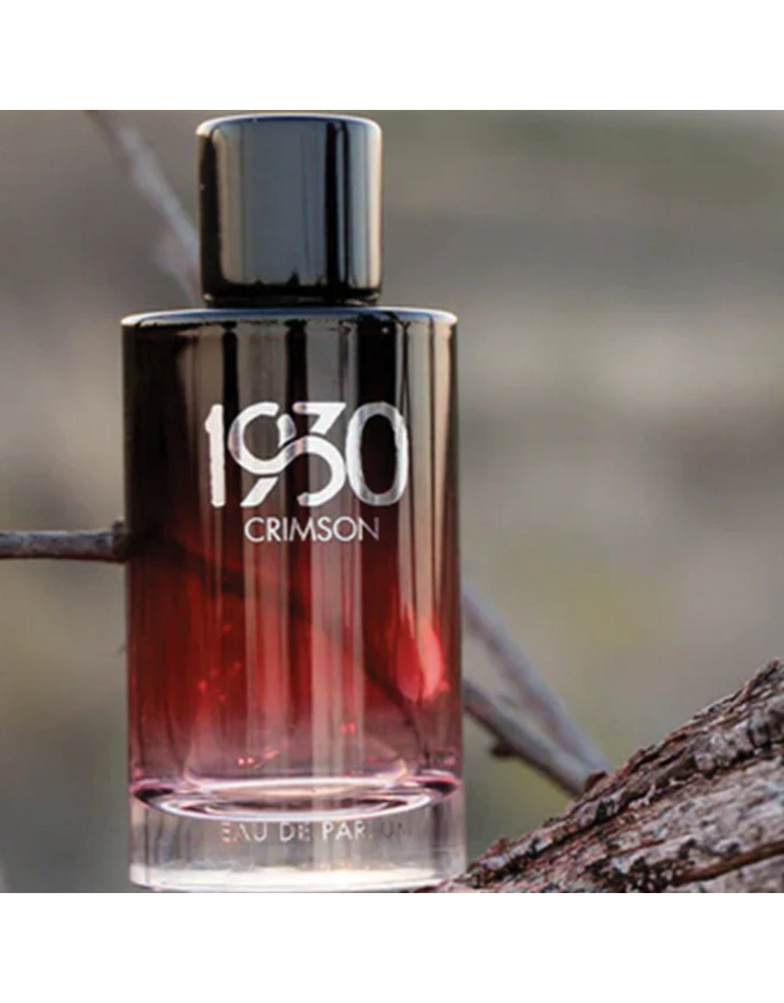 COLOGNE 1930 REMNANT STS