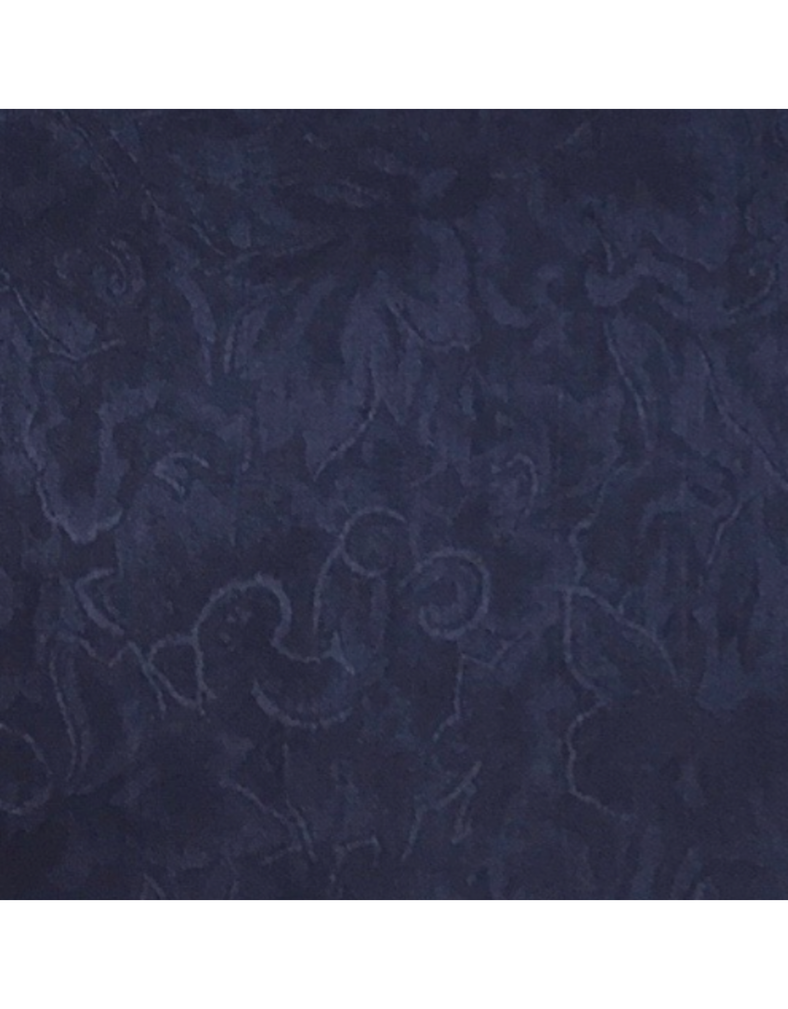 WILD RAG JACQUARD SILK SCARF WT