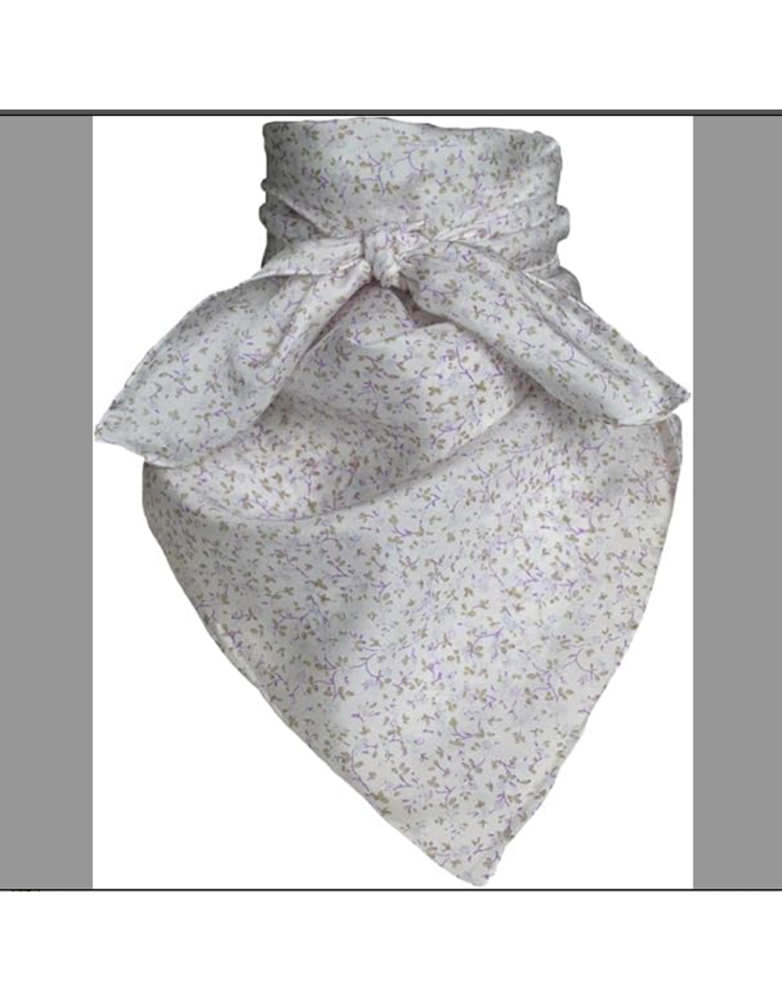 WILD RAG FRONTIER SILK SCARF