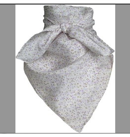 WILD RAG FRONTIER SILK SCARF