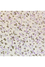 WILD RAG FRONTIER SILK SCARF