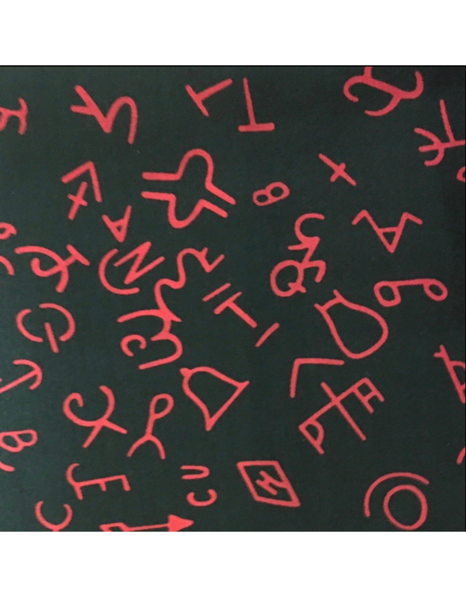 WILD RAG BRAND SILK SCARF