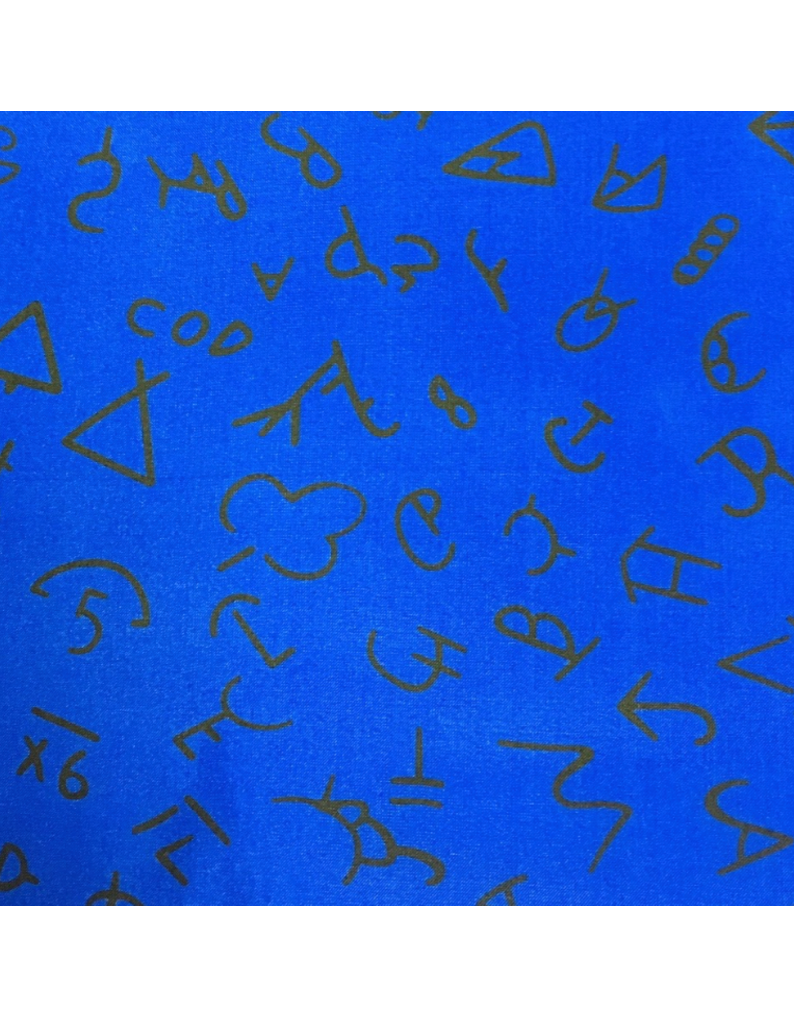 WILD RAG BRAND SILK SCARF