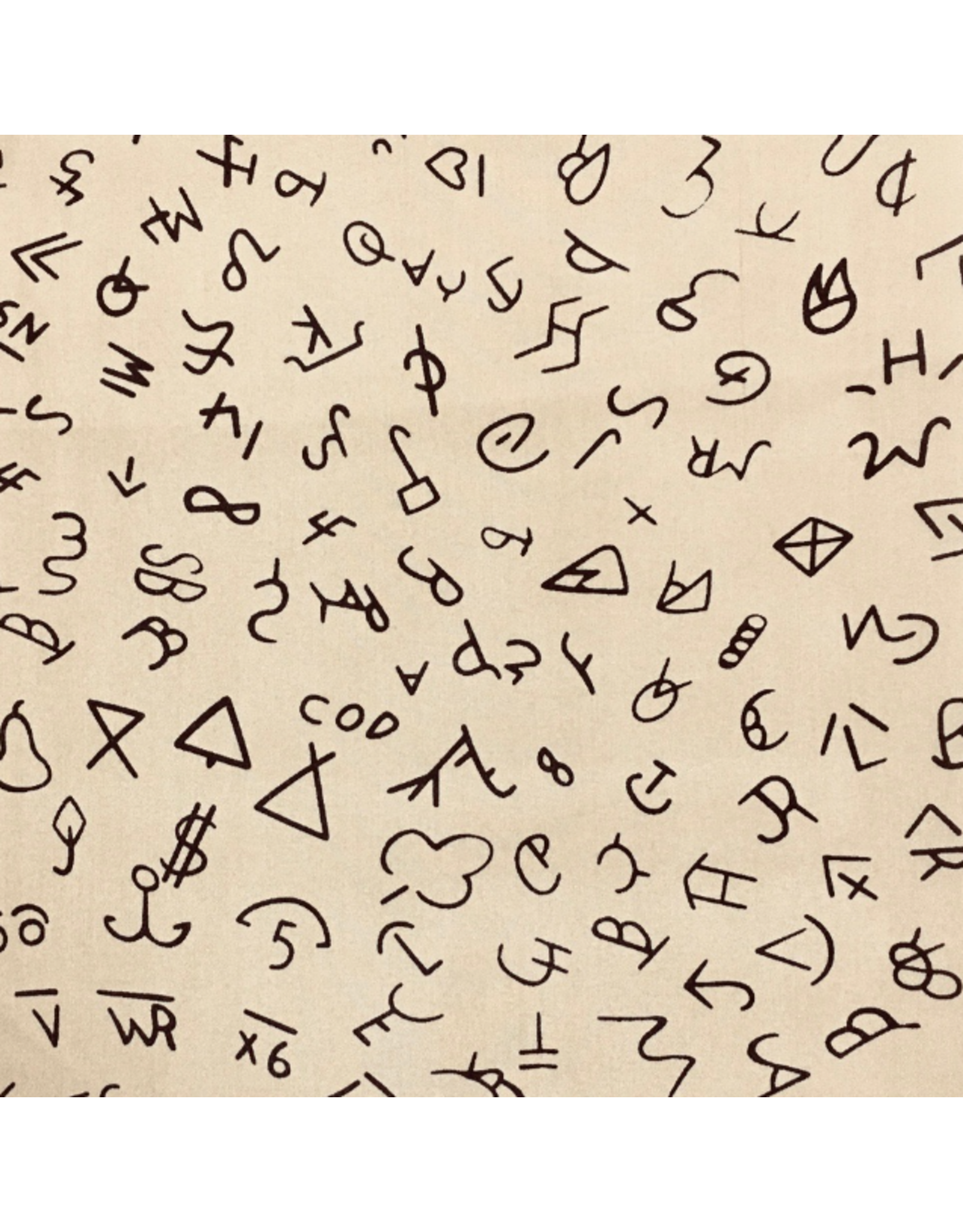 WILD RAG BRAND SILK SCARF