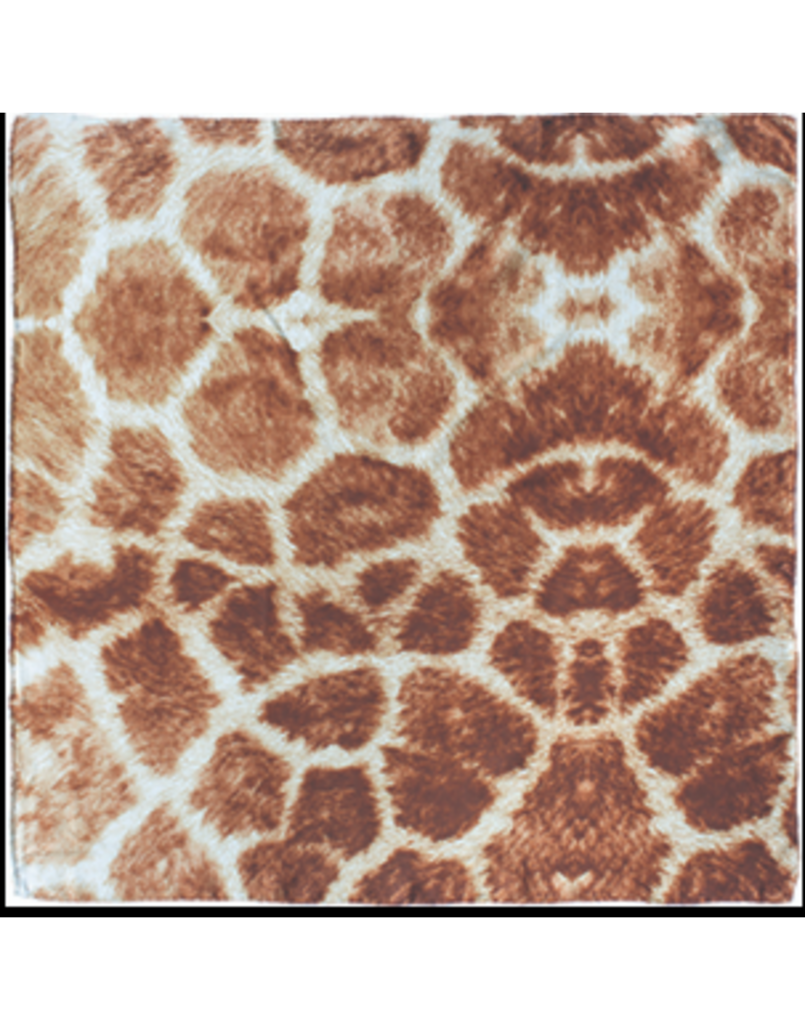 WILD RAG CHARMEUSE SILK SCARF