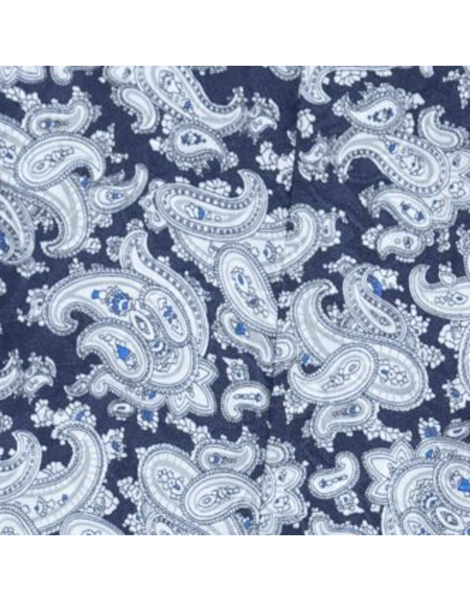 TWILLY SILK SCARF PAISLEY