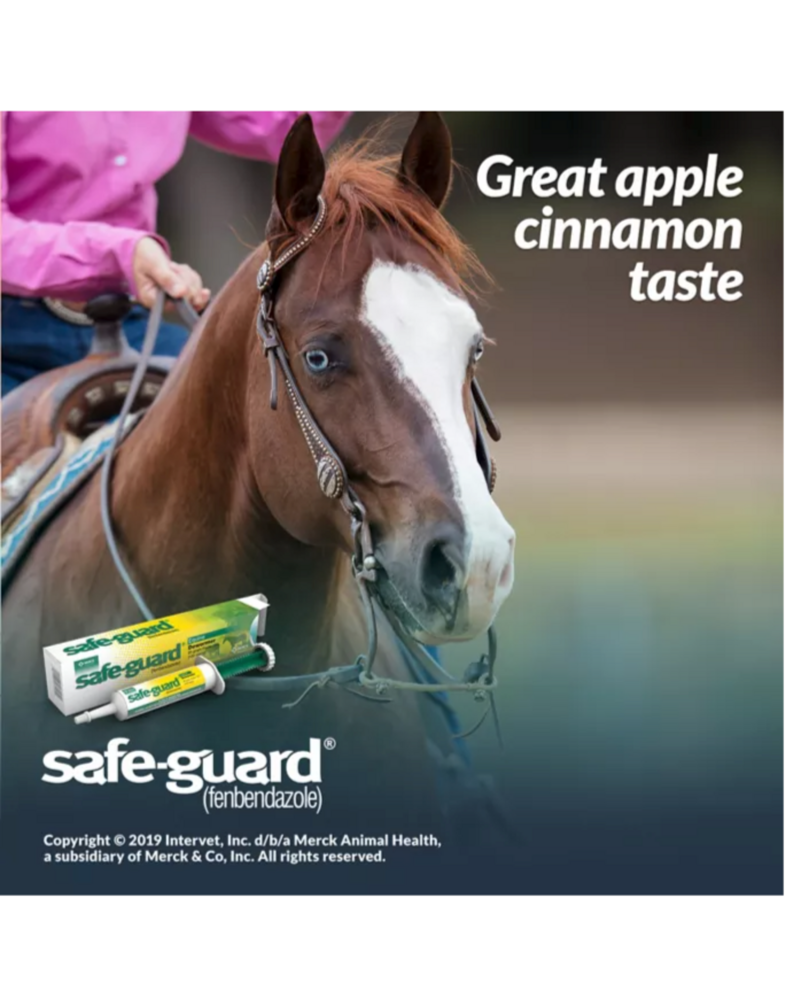 SAFEGUARD EQUINE 10% PASTE 25 GRAM PASTE