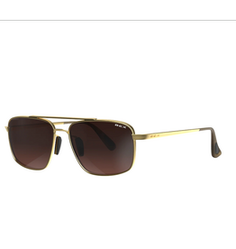 BEX SUNGLASSES ACCEL GOLD/BROWN
