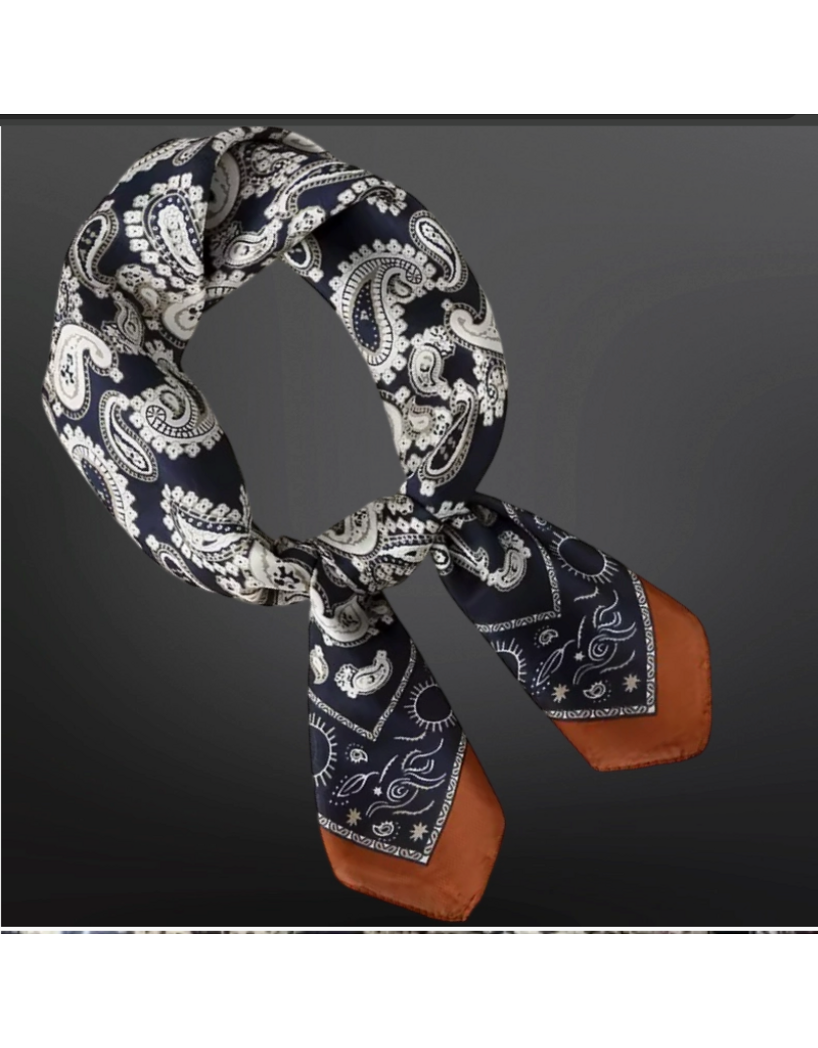 WILD RAG WESTERN PAISLEY BANDANA PRINT