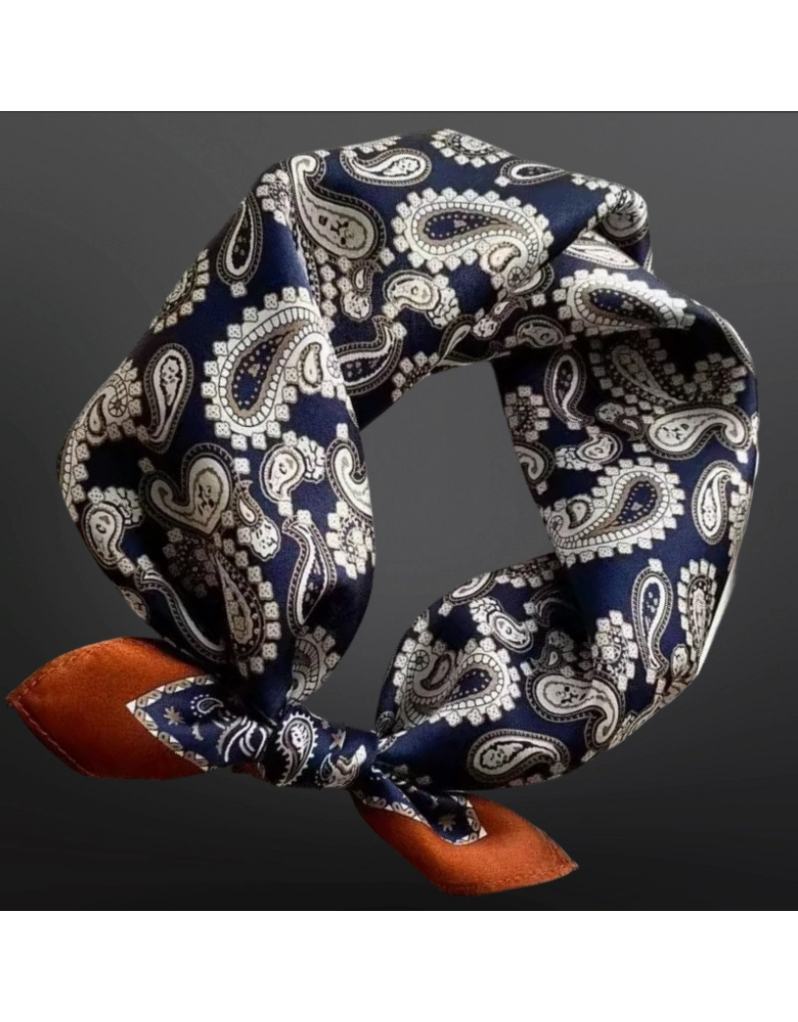 WILD RAG WESTERN PAISLEY BANDANA PRINT