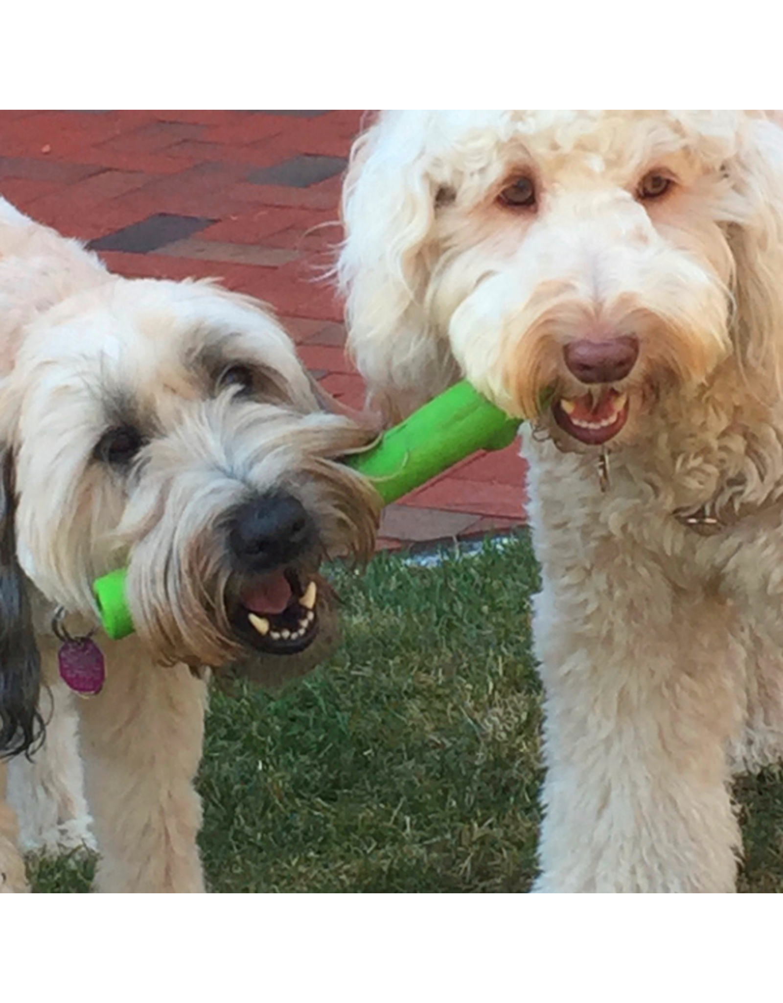 DOG TOY RUFF DAWG STICK REGULAR