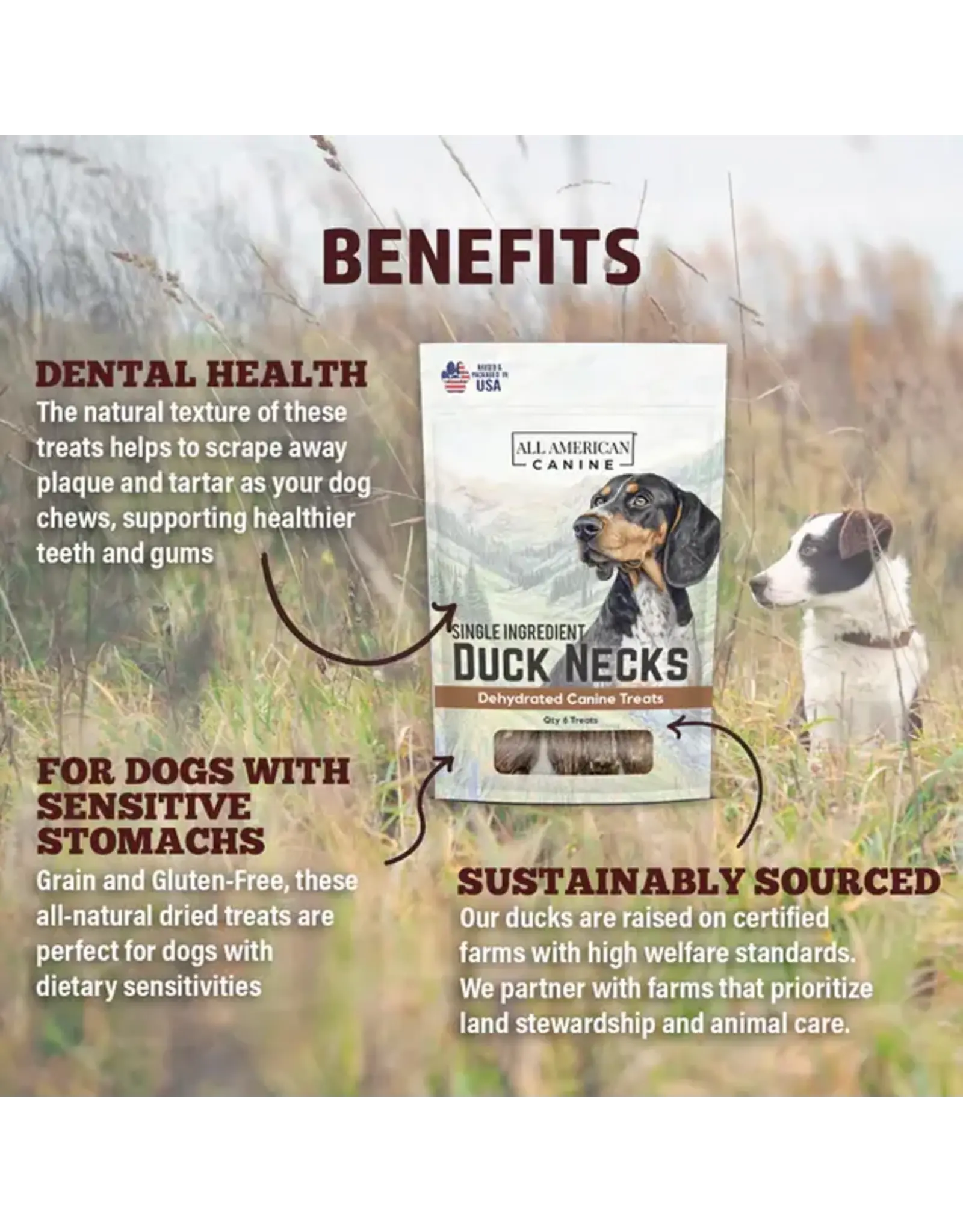 DOG TREATS DUCK NECKS ALL AMERICAN CANINE 6 CT