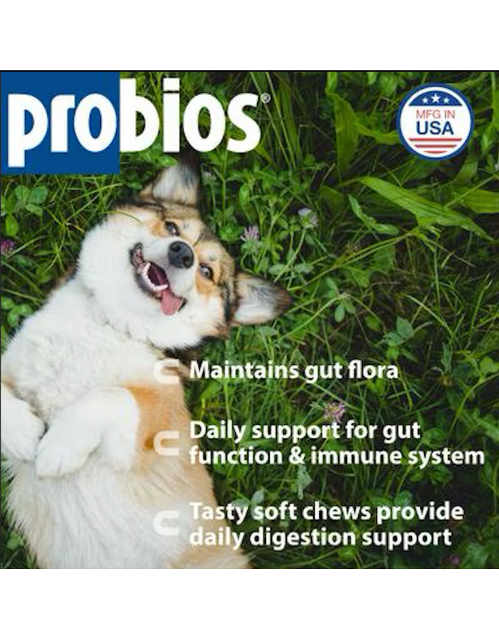 PROBIOS SOFT CHEWS 120 COUNT