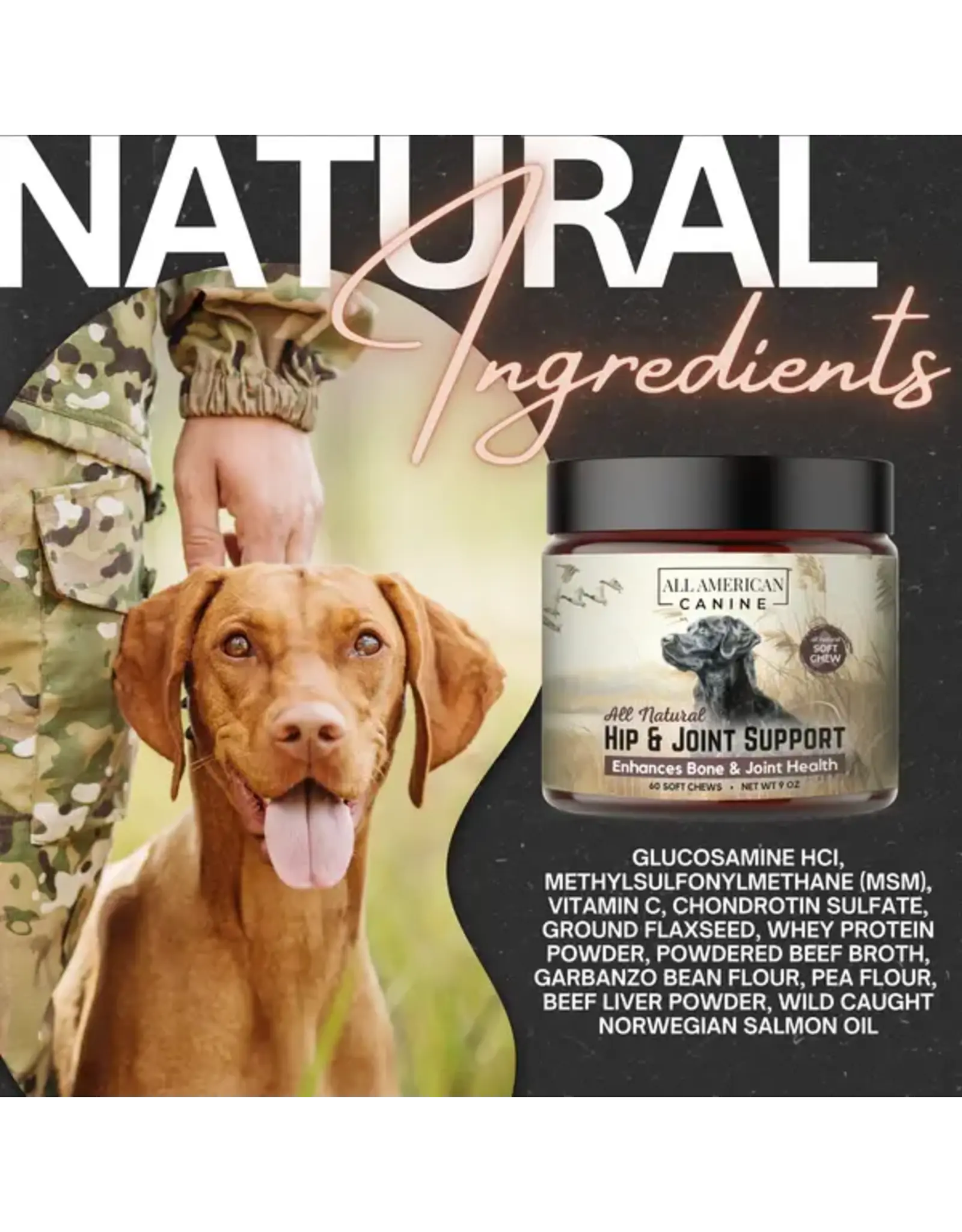 ALL AMERICAN CANINE ALL AMERICAN CANINE HIP & JOINT SUPPORT 12OZ