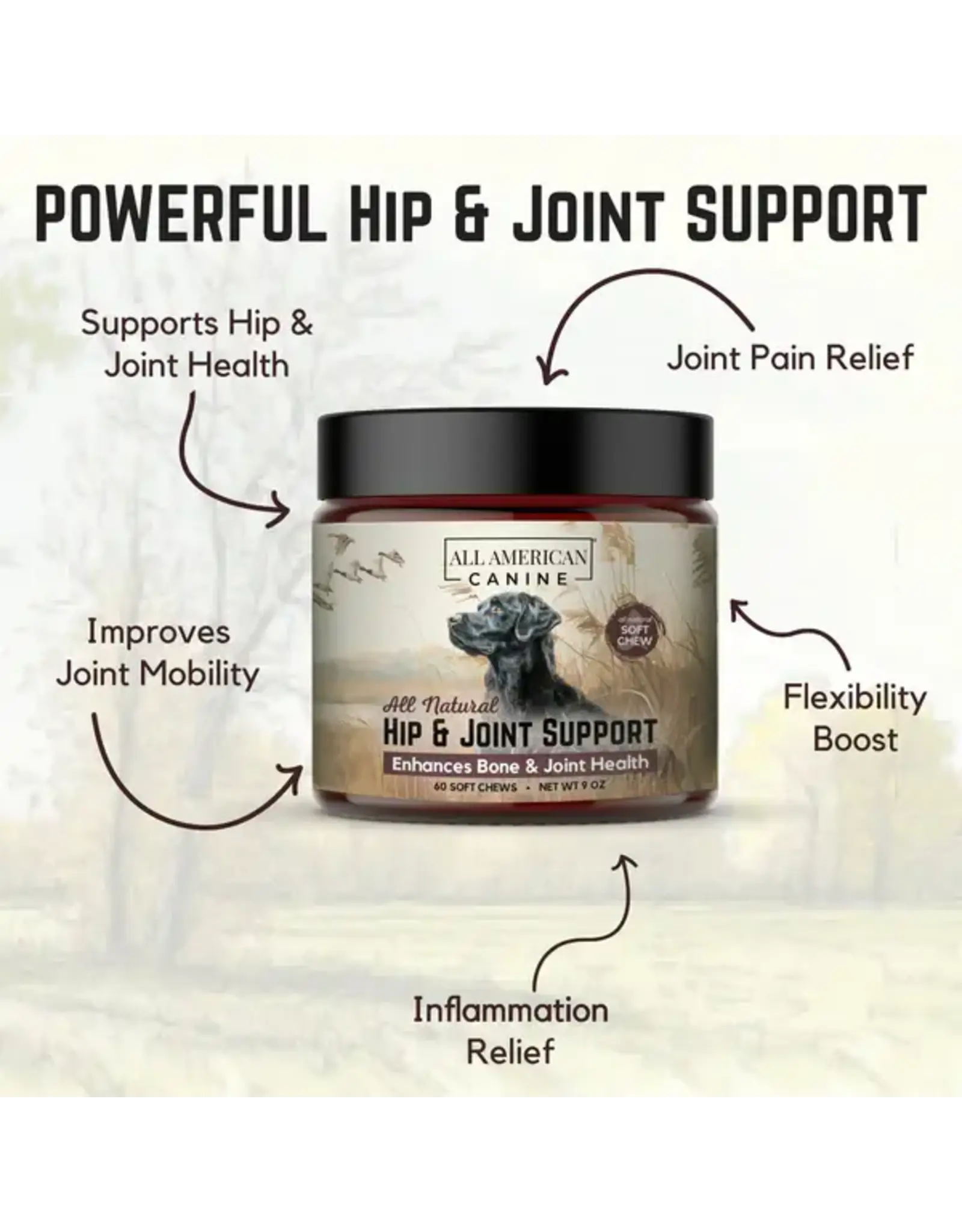 ALL AMERICAN CANINE ALL AMERICAN CANINE HIP & JOINT SUPPORT 12OZ