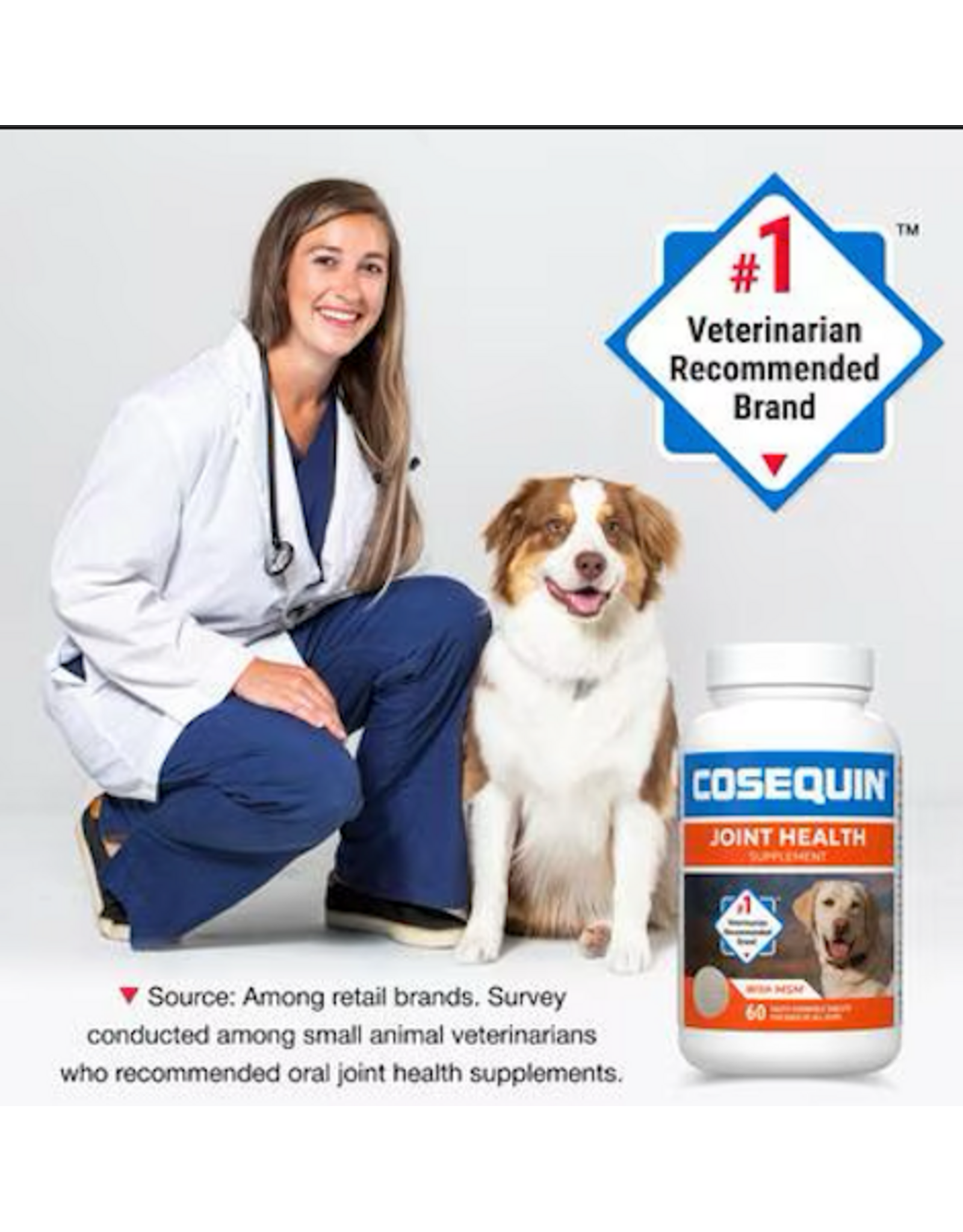 COSEQUIN HIP & JOINT + HA 60  CHEW TABS.