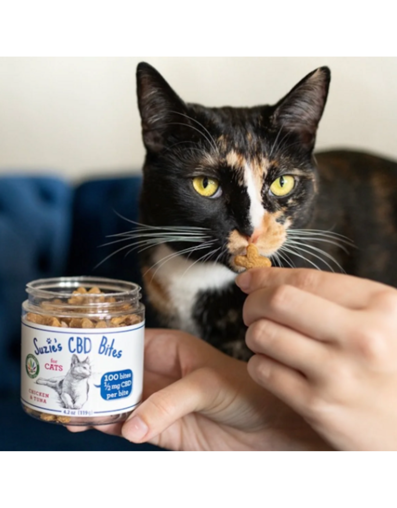 CAT CBD BITES TREATS SUZIES CHICKEN & TUNA 4.2OZ 1/2 MG