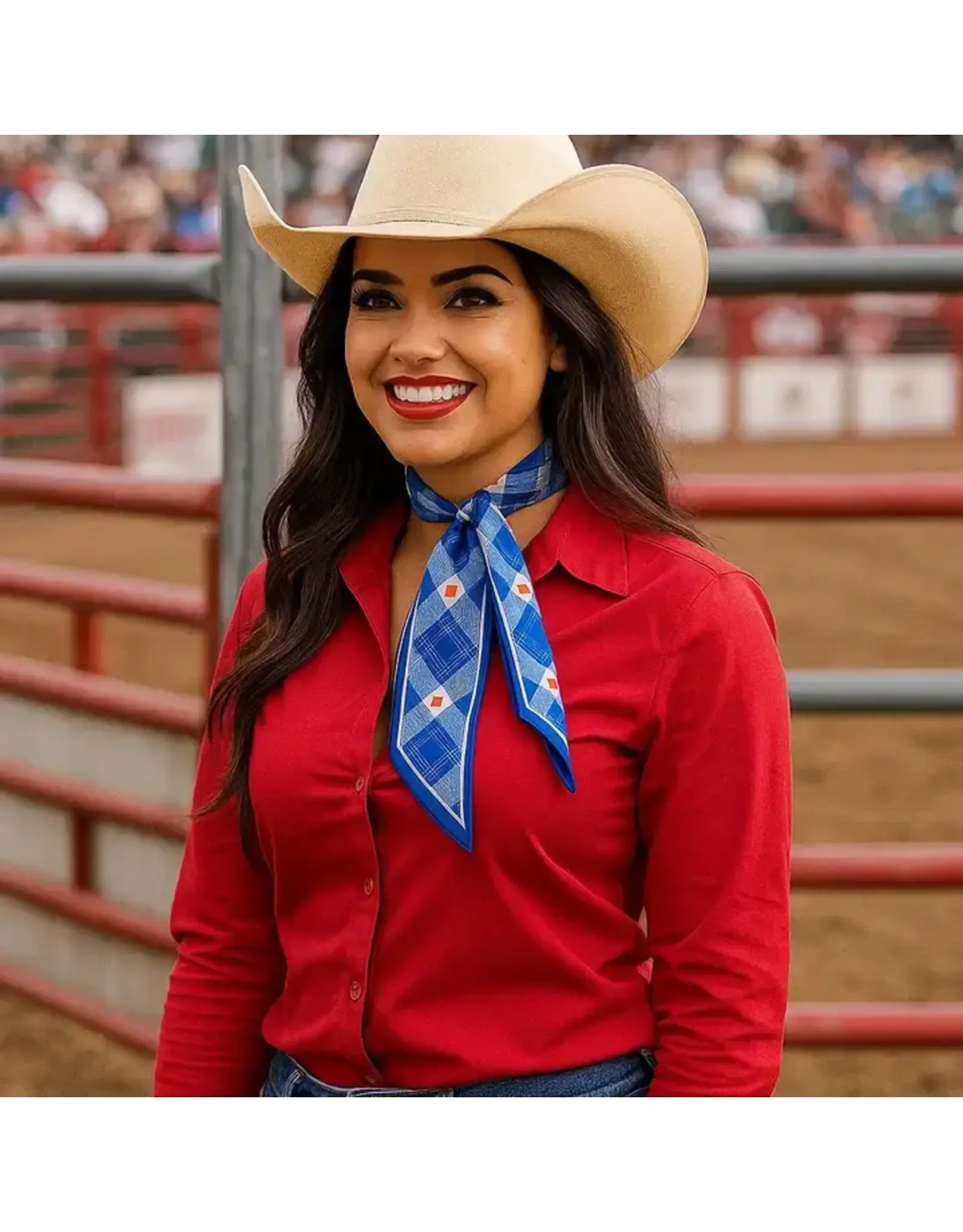 TWILLY BLUE STRIPE RED HEART SKINNY NECK TIE
