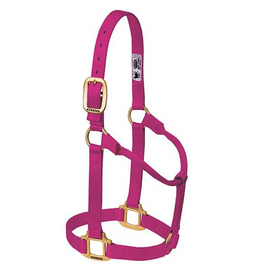 WEAVER HALTER LARGE NON-ADJUSTABLE