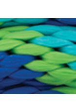 WEAVER LEAD ROPES 8'+